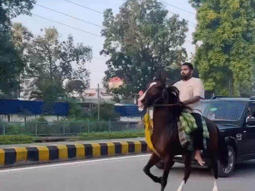 अनंत सिंह घोड़ों के शौकीन हैं। 3 महीने पहले बेटे को घुड़सवारी सिखाते नजर आए थे।