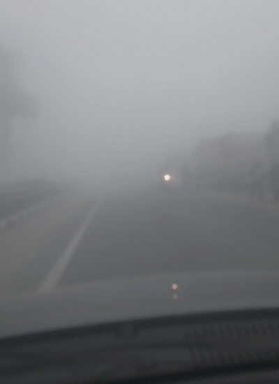 बिहार के सीतामढ़ी में सुबह घना कोहरा छाया है।