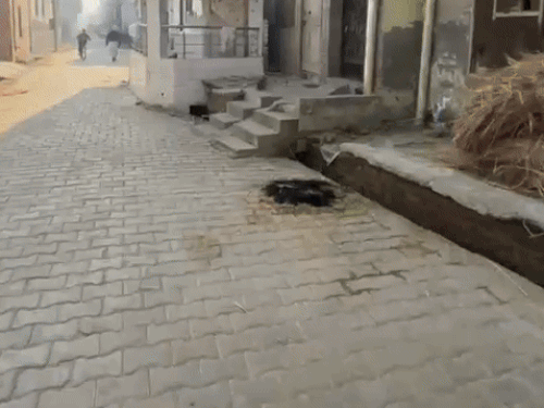 बाइक पर सवार होकर घर में न्यूज पेपर सप्लाई करता दीपक।