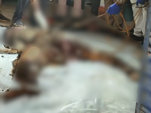 ग्रामीणों की मदद से शव को बाहर निकाला गया। जो डिकंपोज होना शुरू हो गया था।