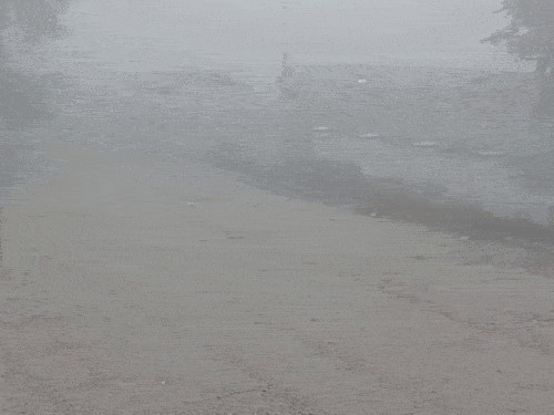 उत्तराखंड के हरिद्वार और ऊधम सिंह नगर में गुरुवार सुबह घना कोहरा छाया रहा।