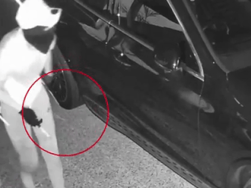 हाथों में चाकू लेकर घर में घुसे थे बदमाश। CCTV में दिखे।