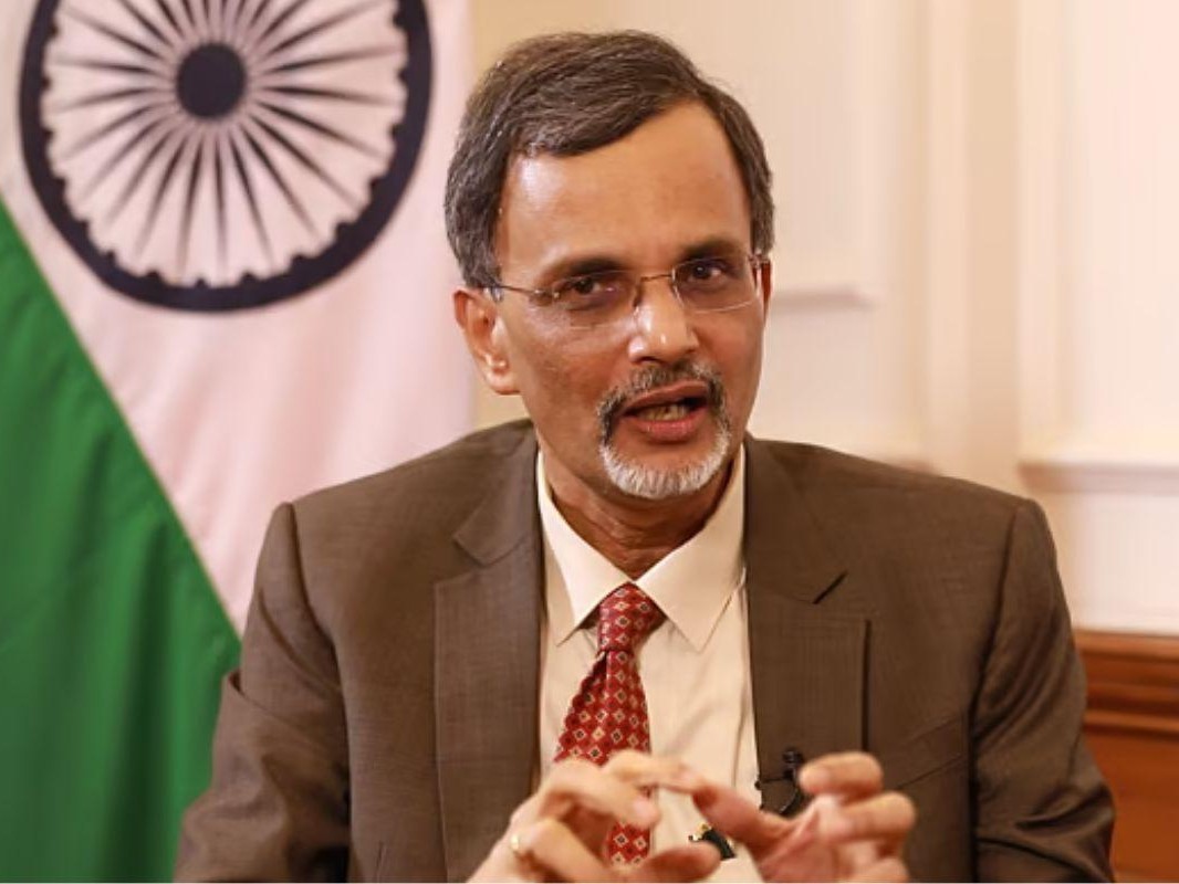 भारत के चीफ इकोनॉमिक एडवाइजर (CEA) वी अनंथा नागेश्वरन। (फाइल फोटो) - Dainik Bhaskar