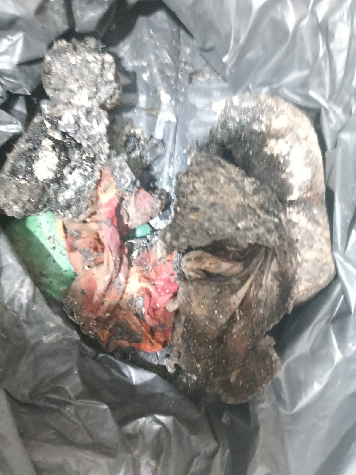 दोनों के जले हुए शव।