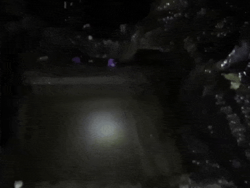 गुहेच्या आत केलेला यज्ञ, अशी मान्यता आहे की भगवान विश्वकर्मांनी तो बनवला होता.