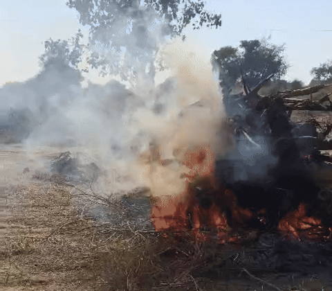 भाइयों और भतीजे ने जवान की पार्थिव देह को मुखाग्नि दी।