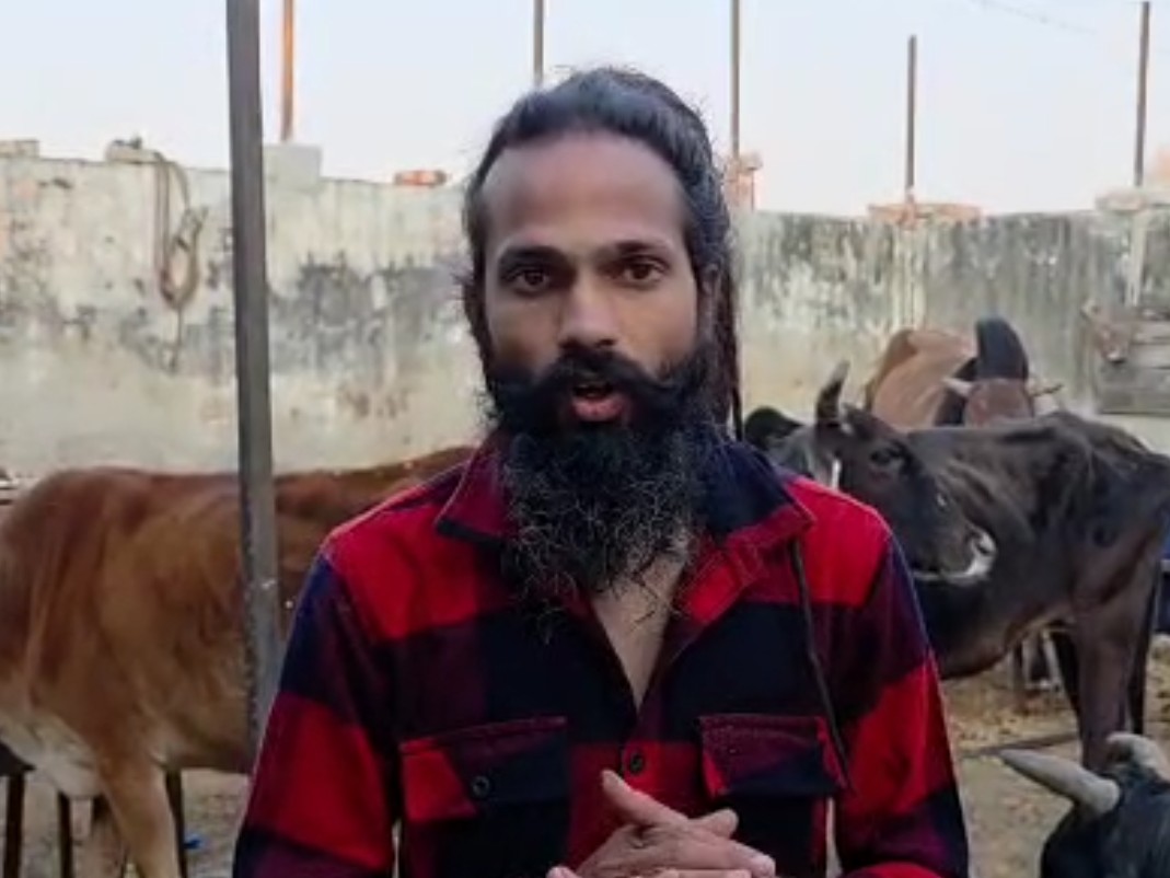 फरीदाबाद में नंदी पर बल्ली से हमला:  गौ रक्षा दल की शिकायत पर आरोपी गिरफ्तार, घायल नंदी का इलाज जारी – Ballabgarh News