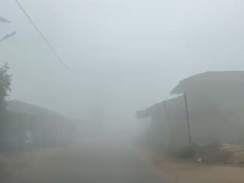 छत्तीसगढ़: सरगुजा संभाग में सुबह के समय घना कोहरा छा रहा है।