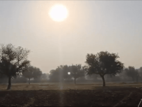 अंबिकापुर में शुक्रवार सुबह धूप खिली। यहां गुरुवार रात पारा 5 डिग्री से नीचे चला गया था।