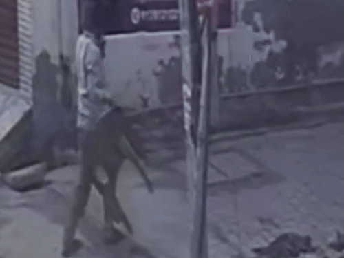 सांड की टक्कर से बुजुर्ग व्यक्ति की मौत हो गई।