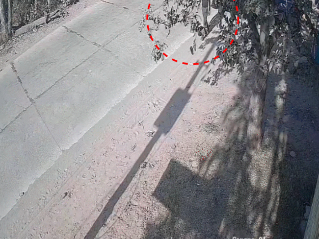 तेज गति से पीछे आ रही पिकअप ने युवक को कुचल दिया।