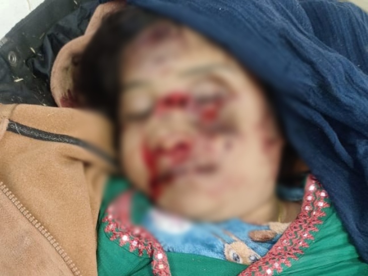 091b31cf 9c88 4160 b380 55b47ff8b1d21765601308865 1765643331