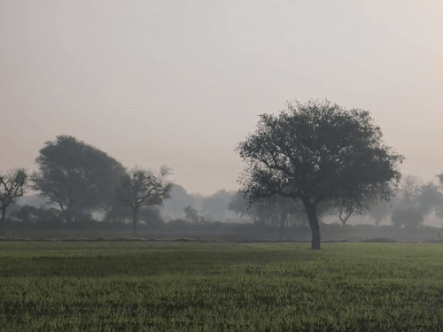 शुक्रवार को अधिकतर शहरों में मौसम साफ रहा।