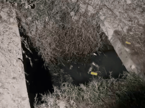 इस नाले में गिरने पर हुई बुजुर्ग अमरजीत की मौत।