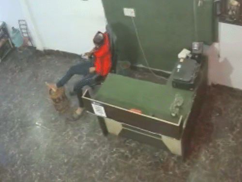 मोबाईल किंमतना ते खुर्चीवर घसरतात.