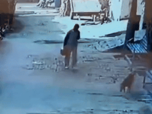 10 दिसंबर की दोपहर को घर के पास आदित्य हाथ में हेलमेट लेकर जाता हुआ दिखाई दिया। इनसेट में आदित्य का फाइल फोटो।