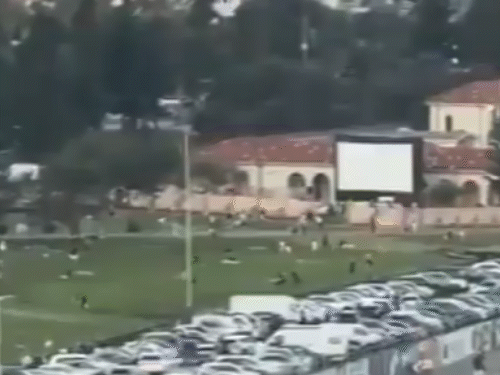 বন্ডি সৈকতের কাছে পার্কে যেখানে হানুক্কা উৎসব পালিত হচ্ছিল সেখানে বিশৃঙ্খলা দেখা দিয়েছে।