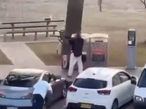 फायरिंग कर रहे हमलावर को पीछे से एक शख्स ने पकड़ लिया। (वीडियो सोशल मीडिया पर वायरल है।)