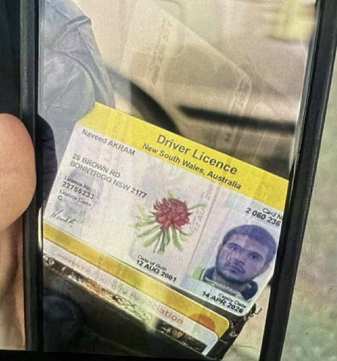 সন্ত্রাসী নাভিদের ড্রাইভিং লাইসেন্স উদ্ধার করেছে পুলিশ। তাতে তার নাম ও জন্মতারিখ লেখা আছে। এতে তার বয়স সম্পর্কে তথ্য পাওয়া গেছে।