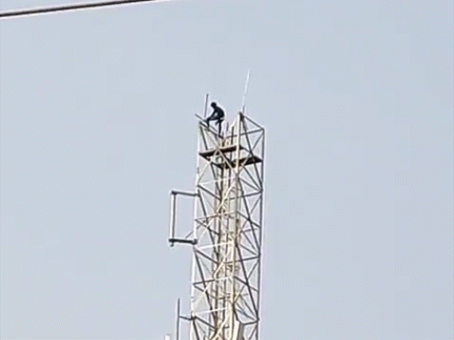 मोबाइल टावर पर चढ़ने के बाद युवक कभी पत्नी को बुलाने तो कभी कूदने की धमकी देता रहा।