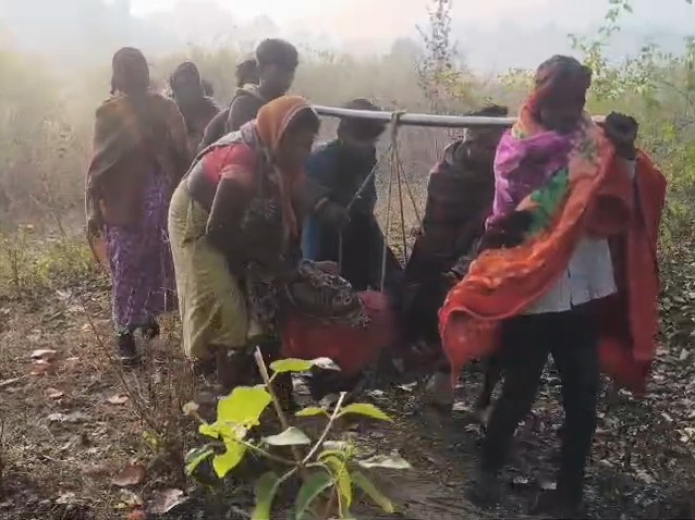 सड़क न होने के कारण शिक्षा, स्वास्थ्य और रोजगार जैसी मूलभूत सुविधाएं गांव से कोसों दूर हैं।