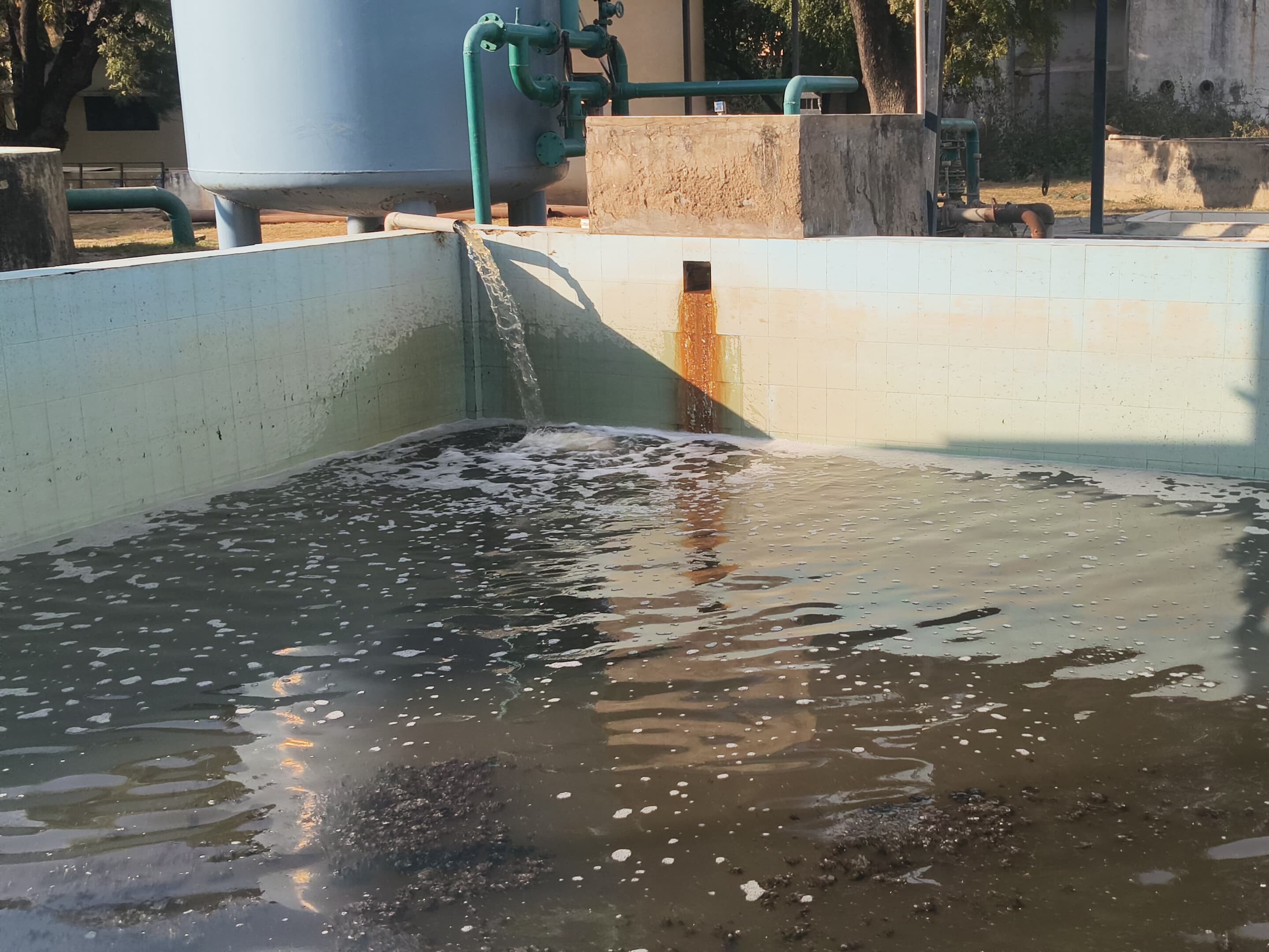 गंदे पानी से रिहायशी क्षेत्र में फैल रहा डेंगू।