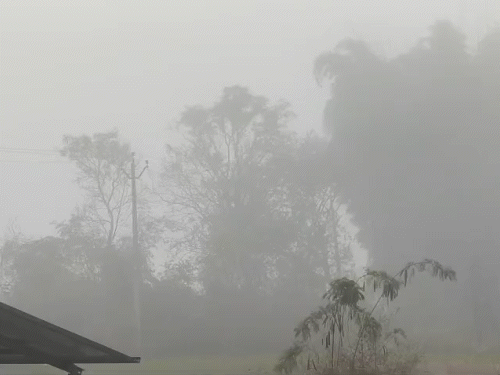 सरगुजा संभाग के प्रतापपुर इलाके में सुबह तक धुंध छाई रही।
