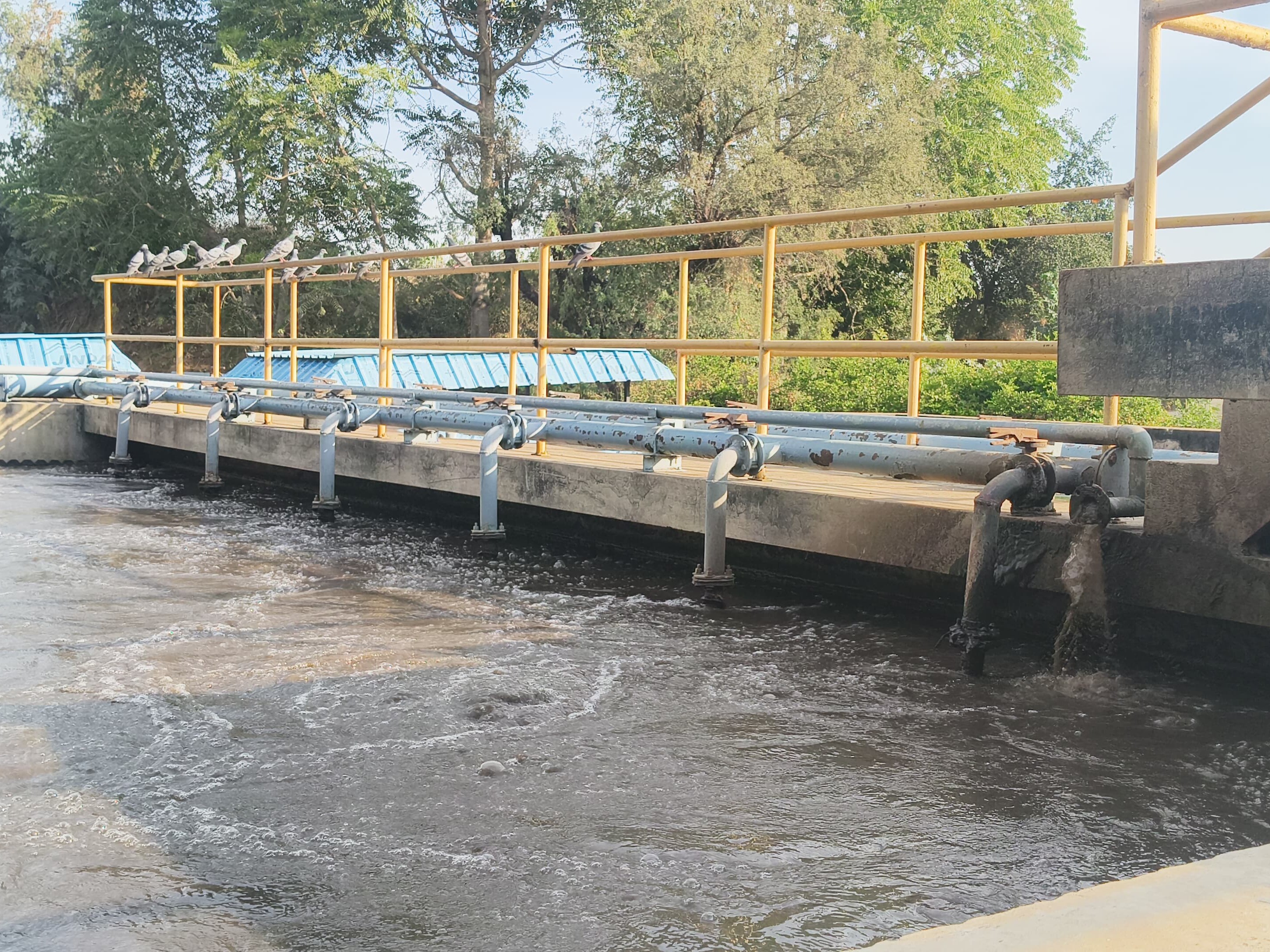 बिट्स प्रबंधन पर गंदा पानी रिहायशी क्षेत्र में छोड़ने के आरोप।