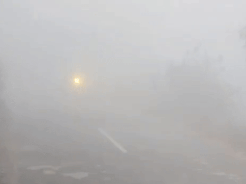 फतेहाबाद में आज सुबह दूसरे दिन भी सीजन का घना कोहरा देखा गया।