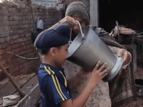 बाल्टी से दूध पीता हुआ तनवीर सिंह।