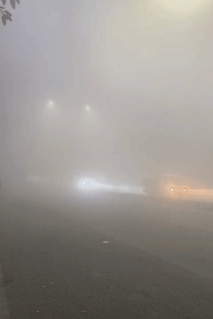 तस्वीर गाजियाबाद की है, देर रात से ही यहां घना कोहरा छा गया। सुबह तक विजुअल जीरो रही।