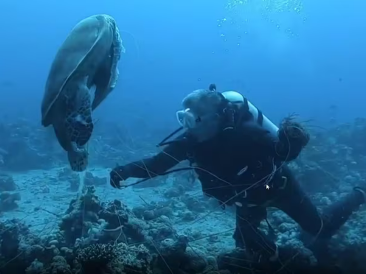 किंग अब्दुल्ला को स्कूबा डाइविंग का काफी शौक है। उन्हें समुद्र की तलहटी में जाकर वहां के नजारे दिखना और उन्हें समझना काफी पसंद है।