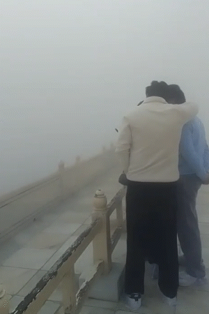 आगरा का ताजमहल सीजन में पहली बार धुंध में छिप गया। पर्यटकों को 10 मीटर दूर से भी नहीं दिखाई दिया।