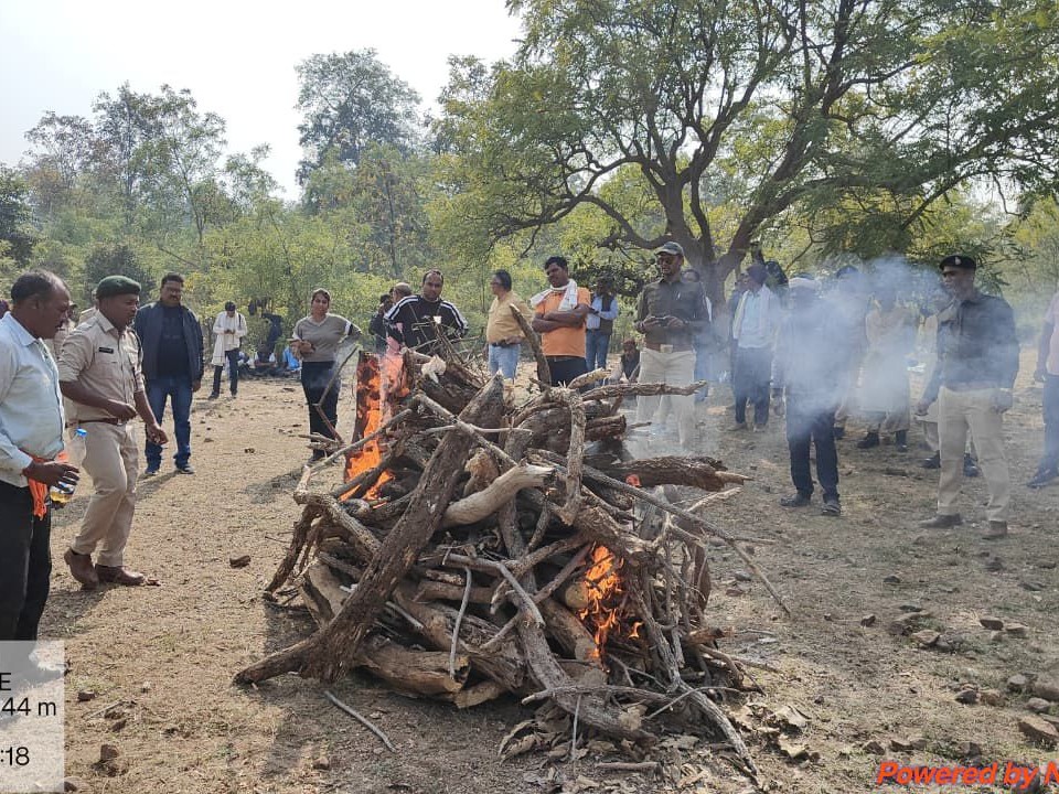Female leopard attacked with sticks, 7 arrested | मादा तेंदुए को लाठी-डंडों से वार कर डाला, 7 गिरफ्तार: करंट तार में फंसने के बाद पीट-पीटकर मौत के घाट उतारा, पंजे-दांत काट ले गए - Khairagarh News 4 14560021 1231 4aee 9eb6 19c1a5fe829b 1765890722606