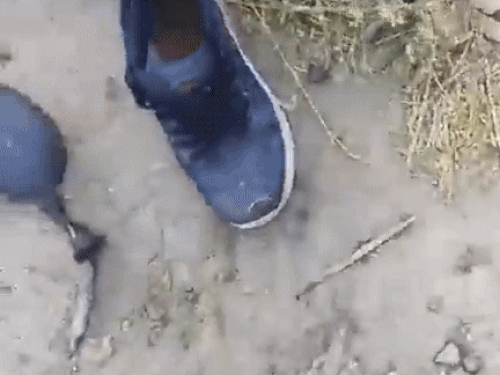 हादसे के बाद मौके पर जुते।