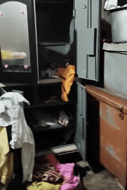 हमलावर अलमारी में रखी नगदी और गहने लूट ले गए।
