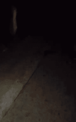 दो गोली लगने से हिस्ट्रीशीटर का सिर फट गया। सड़क पर खून पड़ा दिख रहा है। इसी स्पॉट पर गोली मारी गई।