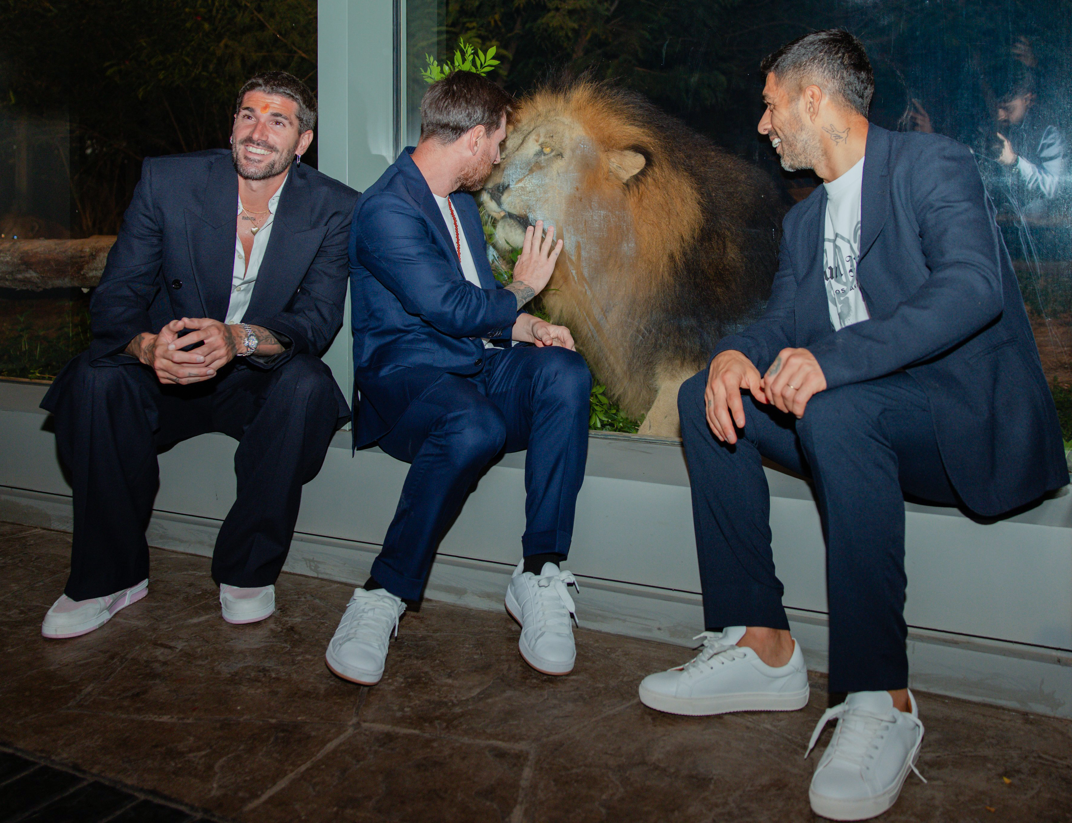 वनतारा में शेर को देखते मेसी, लुइस सुआरेज और रोड्रिगो डि पॉल।