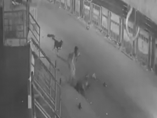 मदद के लिए रूपा एक कार के पीछे भी भागी, लेकिन कार नहीं रुकी।