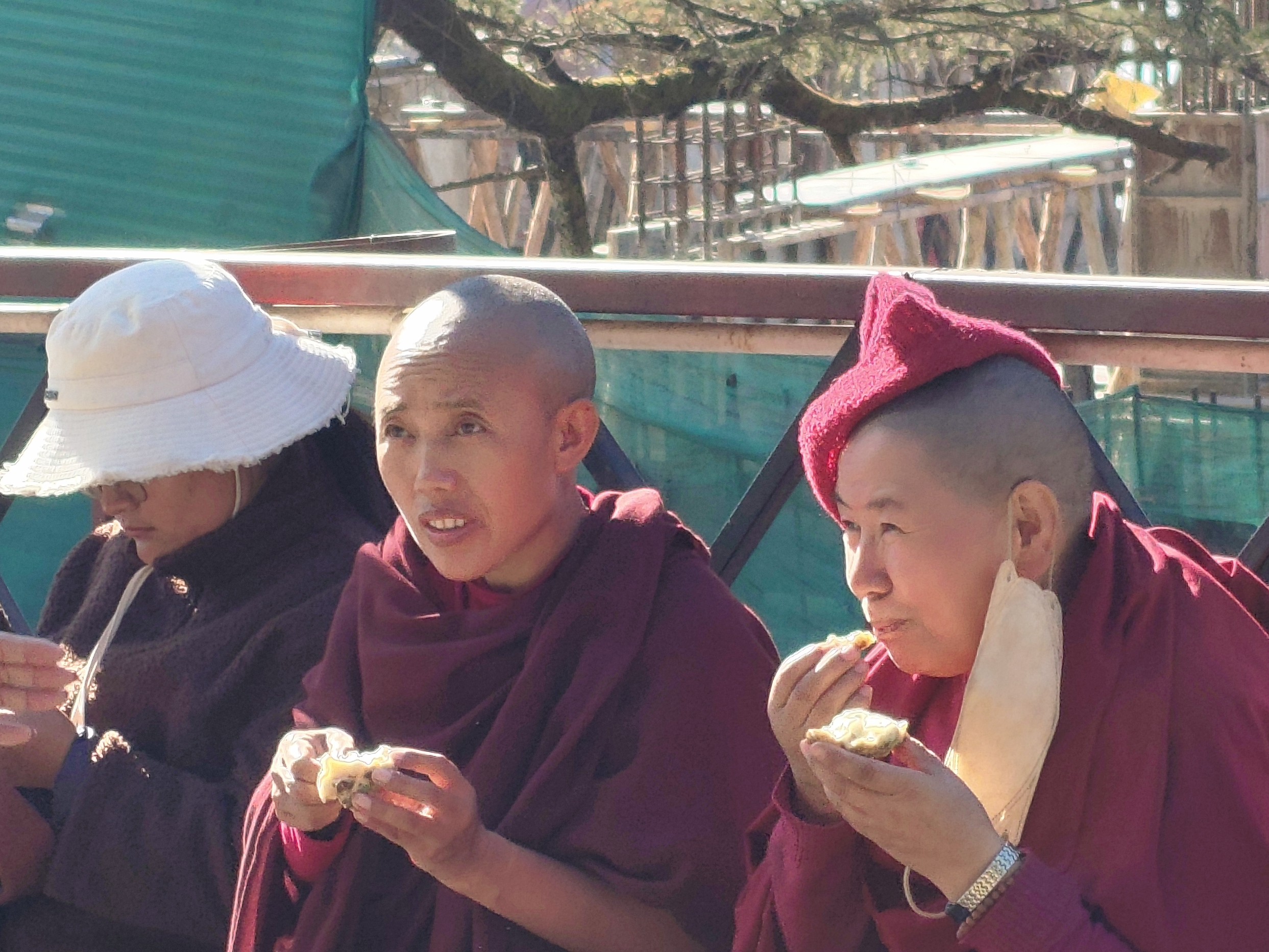 खिली धूप का आनंद लेते हुए