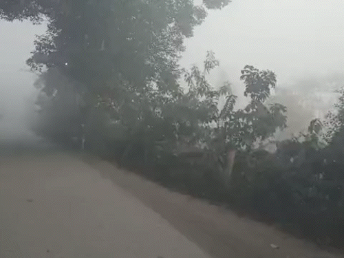 रायगढ़ के छाल इलाके के बोजिया रोड में सुबह तक घना कोहरा छाया रहा।