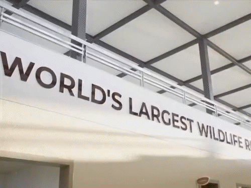 वनतारा रिलायंस के जामनगर स्थित रिफाइनरी परिसर के 3000 एकड़ ग्रीनबेल्ट में फैला है।