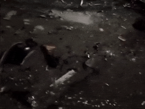 मौके पर कार के पुर्जे बिखरे मिले।