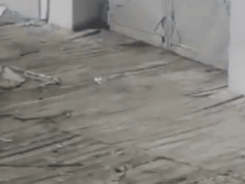 শিখদের পবিত্র ধর্মীয় তীর্থস্থান হেমকুন্ড সাহিবের পুকুরটি হিমায়িত: নভেম্বর থেকে তুষারপাত হয়নি, শীতের জন্য 10 অক্টোবর দরজা বন্ধ ছিল – চামোলি নিউজ শিখদের পবিত্র ধর্মীয় তীর্থস্থান হেমকুন্ড সাহিবের পুকুরটি হিমায়িত: নভেম্বর থেকে তুষারপাত হয়নি, শীতের জন্য 10 অক্টোবর দরজা বন্ধ ছিল – চামোলি নিউজ