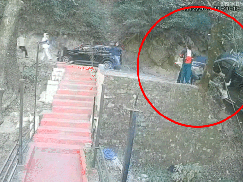 पंचपुला के पास ट्रैवलर पेड़ से टकराकर खाई में गिरने से बच गया।