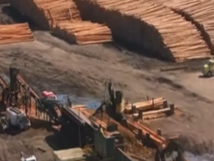 वीडियो में जंगलों की कटाई और पहाड़ों पर कब्जा दिखाया है।