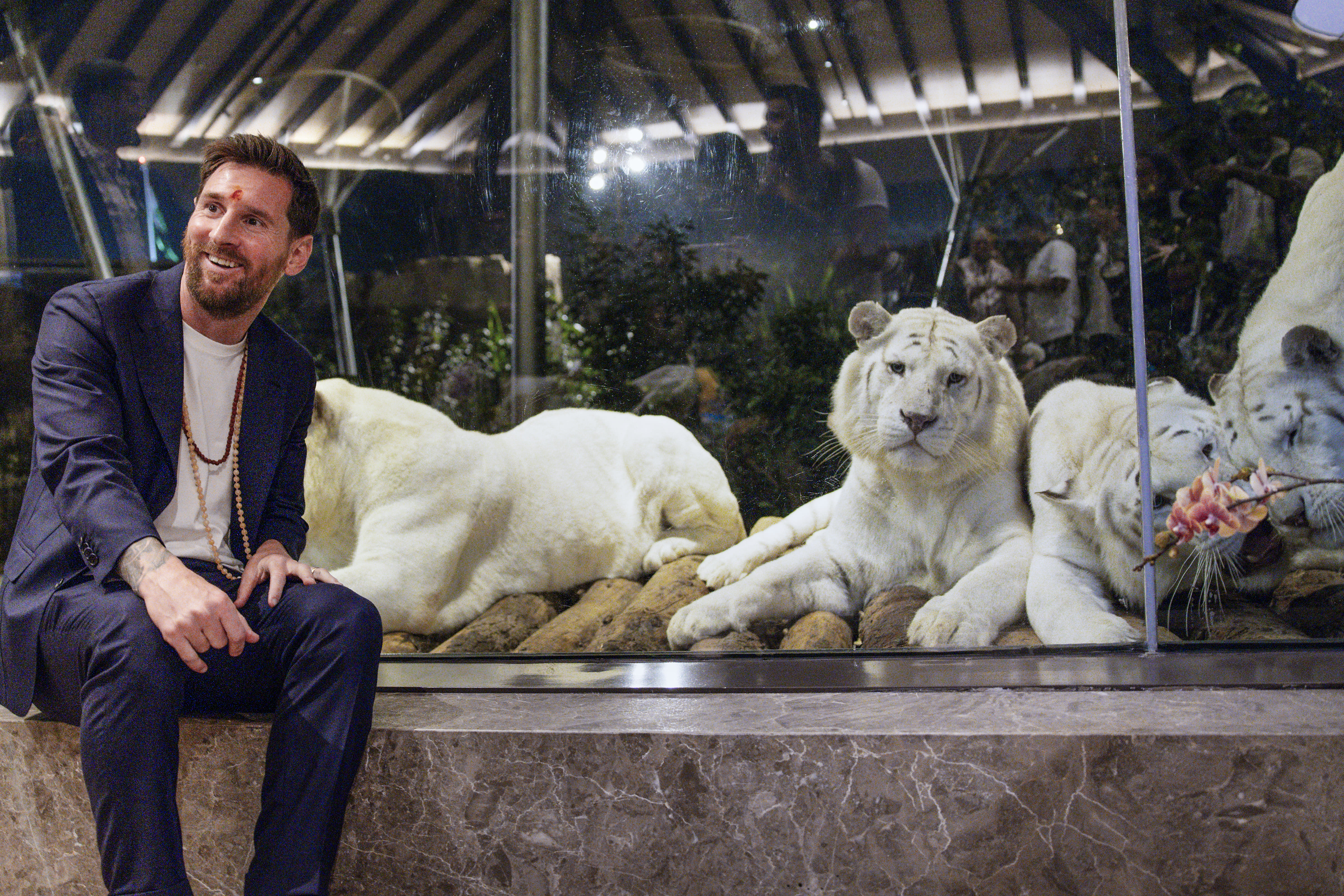 वनतारा में सफेद शेर के साथ मेसी ने तस्वीर खिंचवाई।