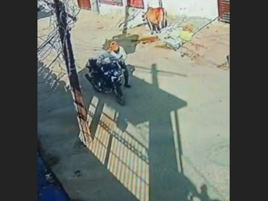 The thief stole the bike and took it away on foot; the theft incident ...