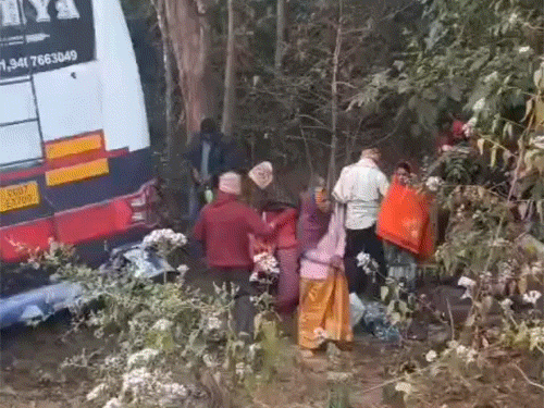 तारागांव के पास बस अनियंत्रित होकर नेशनल हाईवे से नीचे उतर गई और पेड़ से टकरा गई।