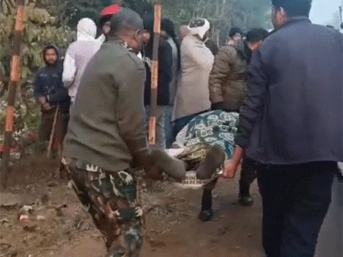 मौके पर पहुंची पुलिस ने एंबुलेंस के जरिए घायलों को अस्पताल भिजवाया।